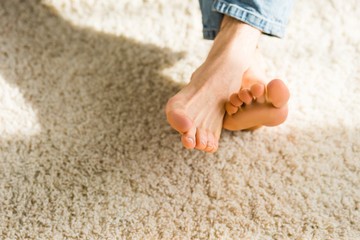 Warm Climate Carpet Options Shop Flooring Options Today